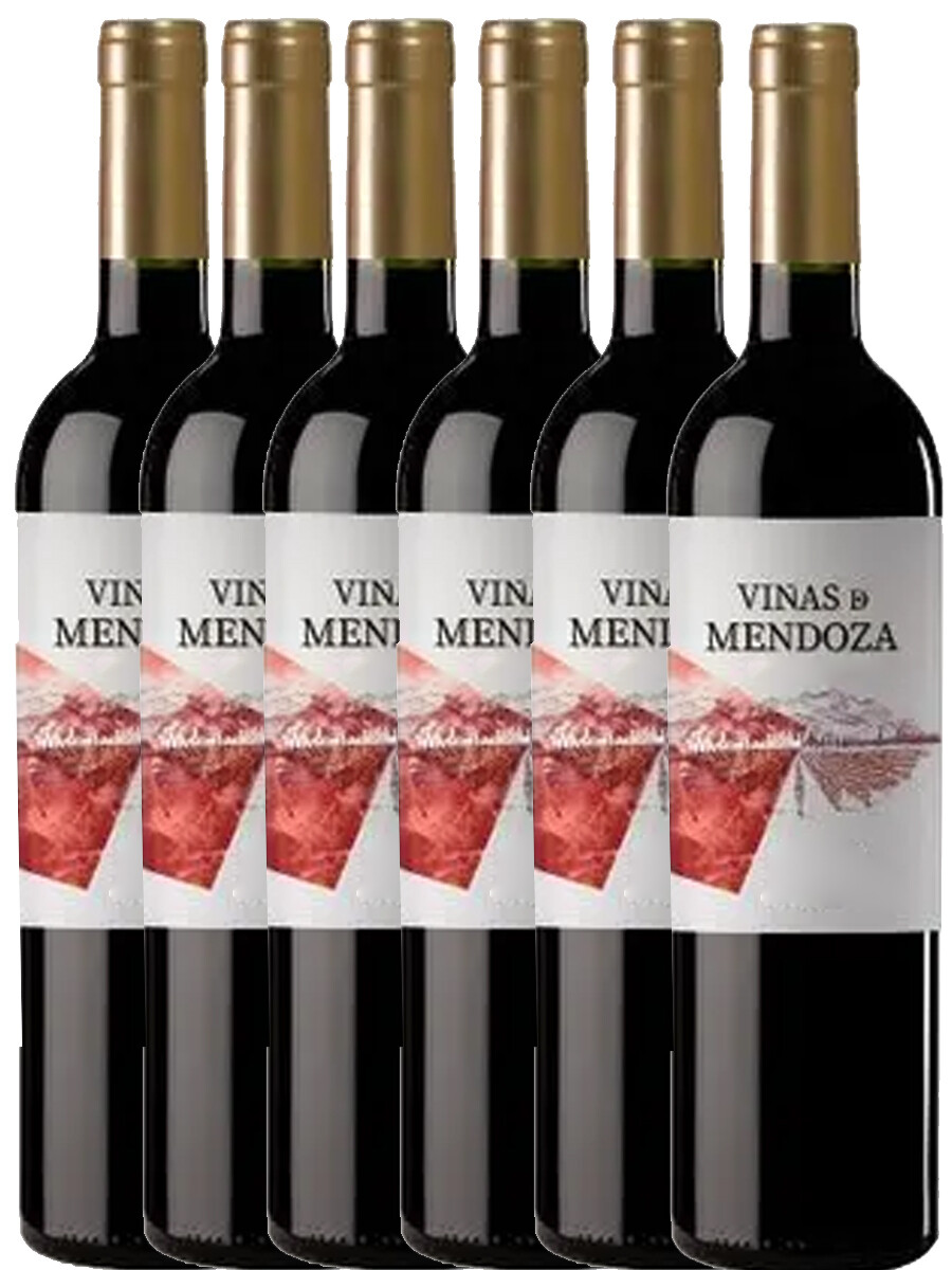Promo 5+1 Viñas de Mendoza Malbec 