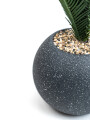 Planta Palmera 50cm Negro