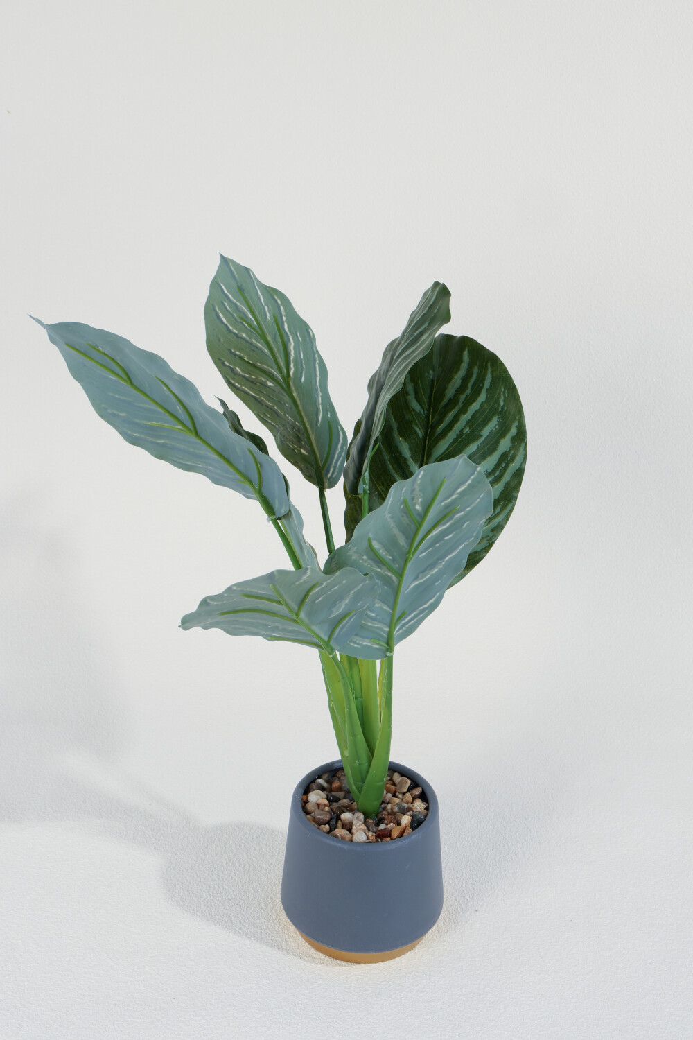 Planta Aglaonema 40cm Color Unico