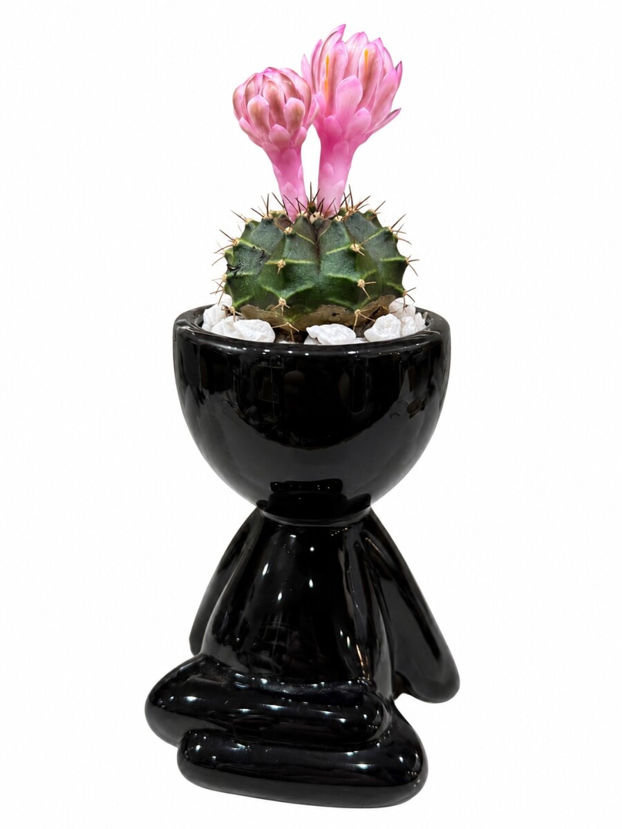 LITTLE PEOPLE CON CACTUS NEGRO
