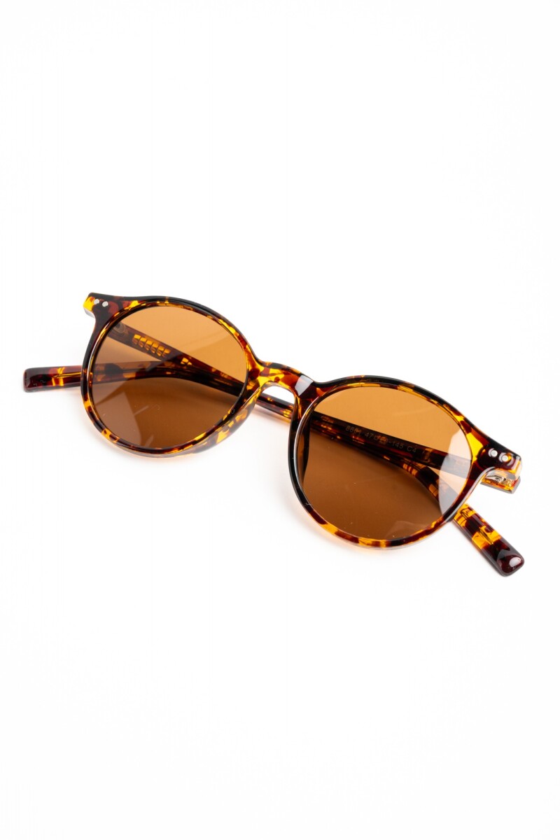 Lentes De Sol Polarizados Marron