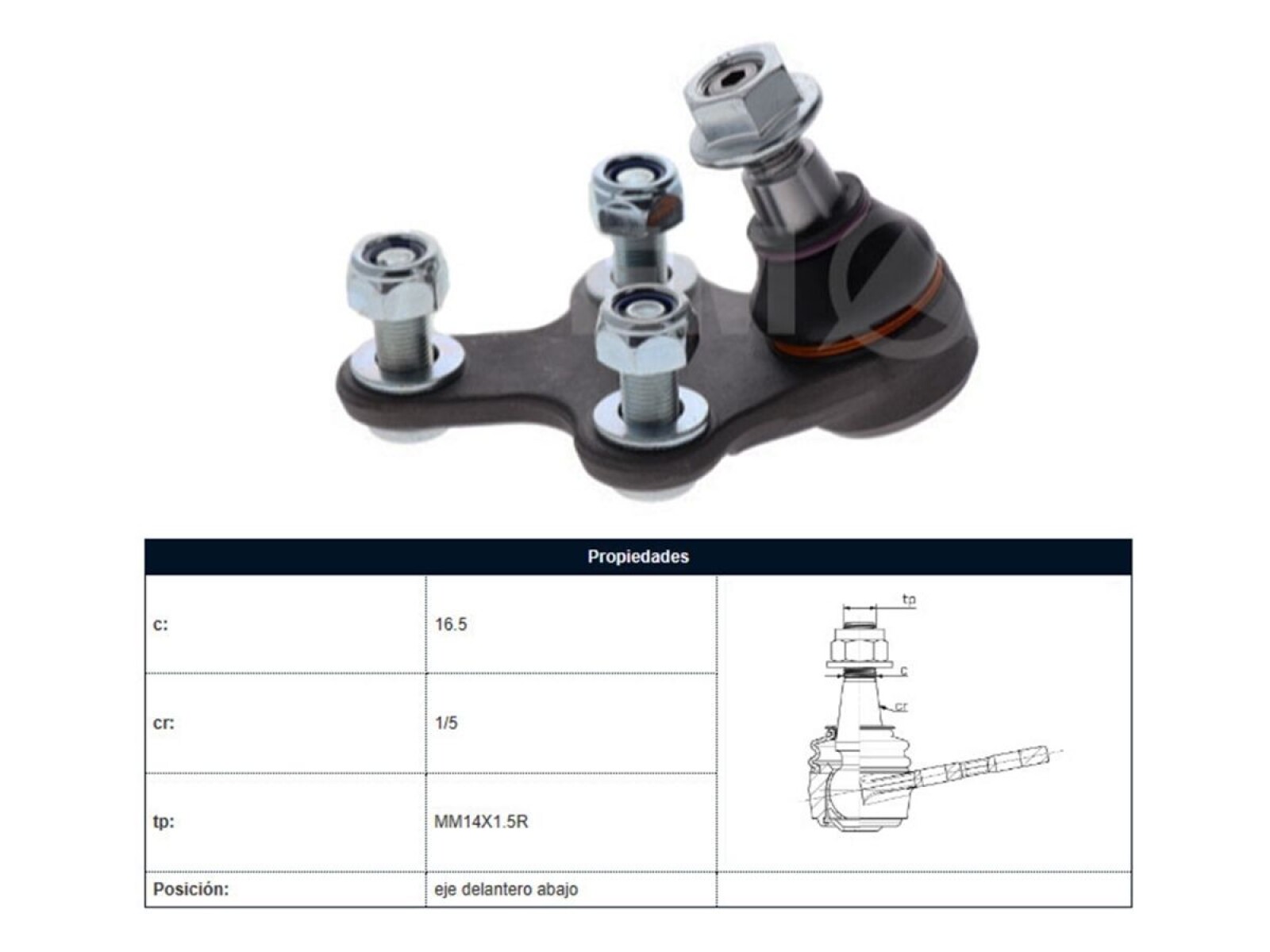 Rotula Peug 308 14-25 Der/Izq 