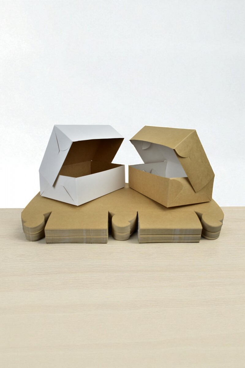 Pack x 100 - Caja masas 1/4 kg 11x18x6 - Reversible 