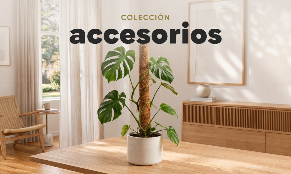 Accesorios
