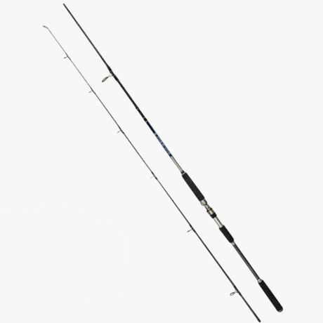 Caña de Pescar Rapala Rocksole 2,70M Acc Mh 2.70 m
