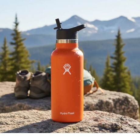Botella 21 Oz (621ml) Standard Flex Straw Cap Hydro Flask Mesa