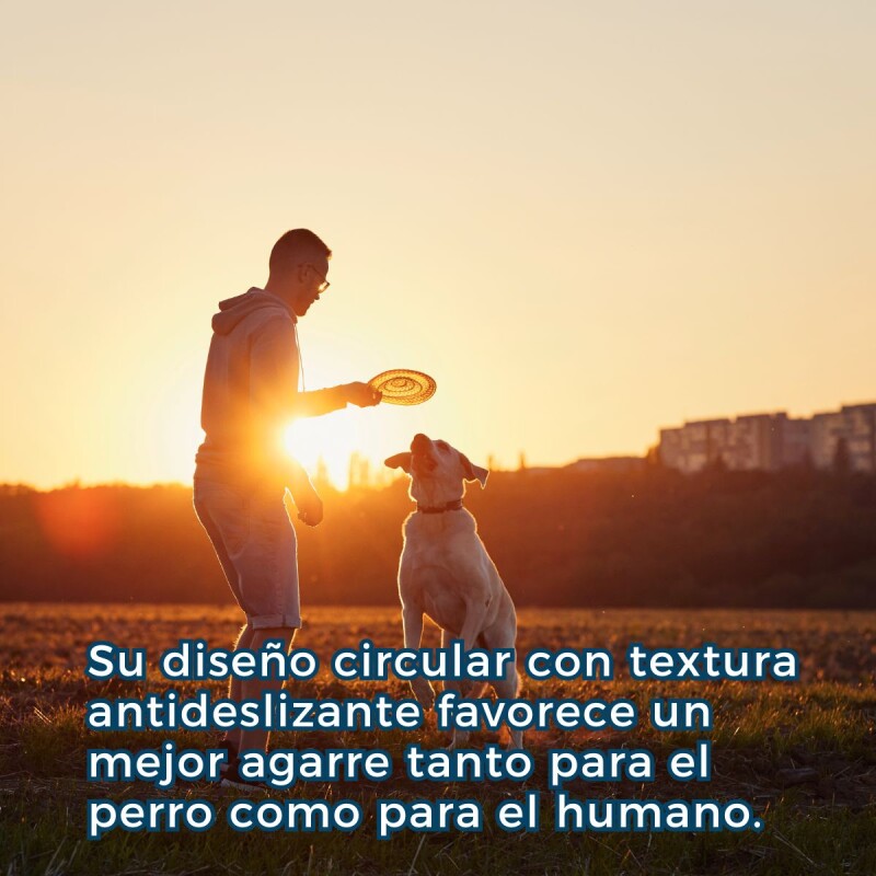 JUGUETE FRISBEE GRANDE 24 CM PARA PERROS JUGUETE FRISBEE GRANDE 24 CM PARA PERROS
