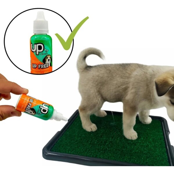 Kit Educador Sanitario Perro Adiestramiento Caca Pipi X10 Ax Kit Educador Sanitario Perro Adiestramiento Caca Pipi X10 Ax
