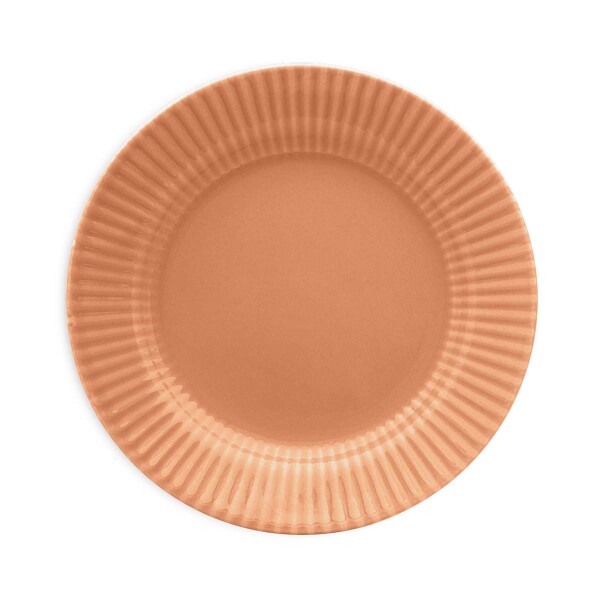 Plato llano Salmao 24 cm BIONA Plato llano Salmao 24 cm BIONA