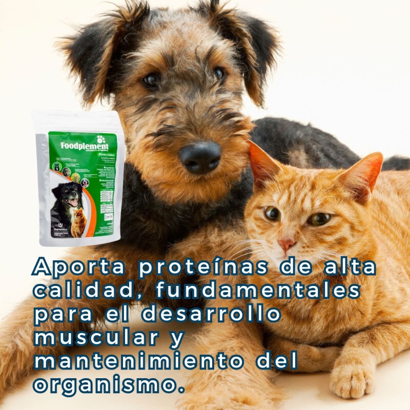 FOODPLEMENT SOBRE DE 100 G FOODPLEMENT SOBRE DE 100 G