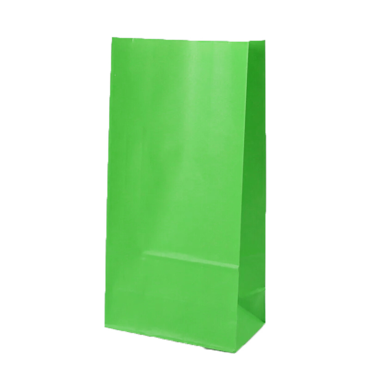 Bolsa Papel x 50 S/Asa Grande - Verde 