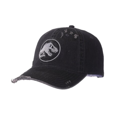 Gorro Jurassic World Gorro Jurassic World