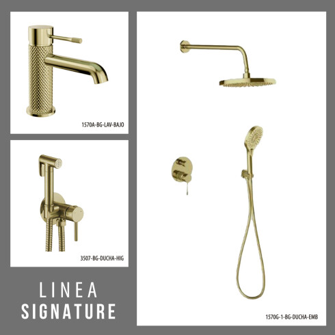 JUEGO DE GRIFERIA LAV BAJO DUCHA EMBUTIDA Y DUCHA HIGIENICA Oro mate DORADO-BRUSHED GOLD