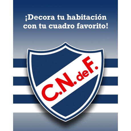 Colcha capitoneada 1 plaza King Size con funda Nacional o Peñarol 240cm x 160cm Colcha capitoneada 1 plaza King Size con funda Nacional o Peñarol 240cm x 160cm