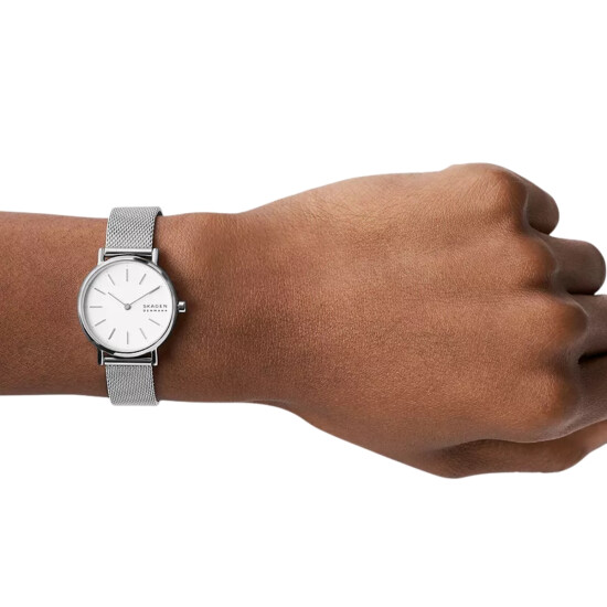 Reloj SKAGEN SIGNATURE Acero Plateado Esfera 30mm 0