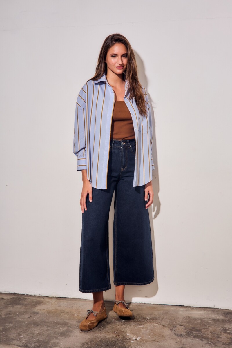 Camisa Rayada Azul