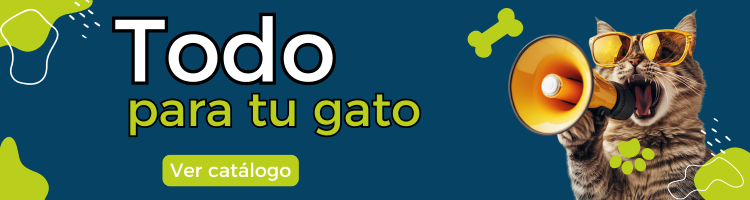 Todo para tu gato N