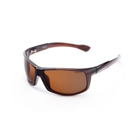 Lentes de Sol Legacy 2553 Unisex Marrón