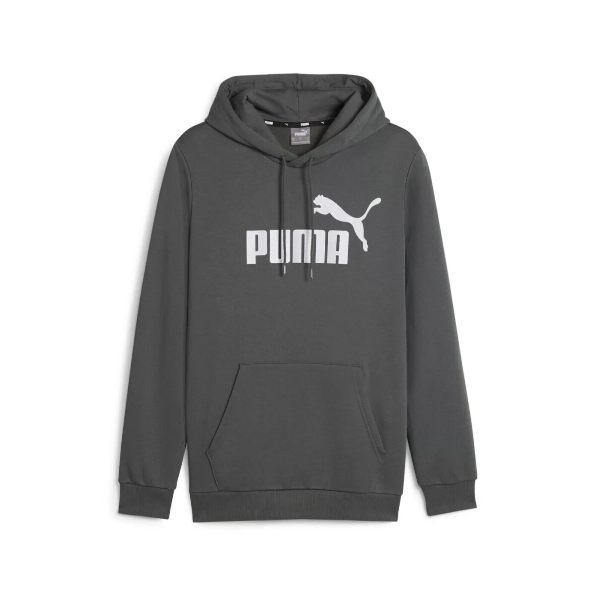 Buzo Puma Essential Big Logo 