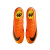 Championes Nike Vapor 16 Elite FG SG Beige