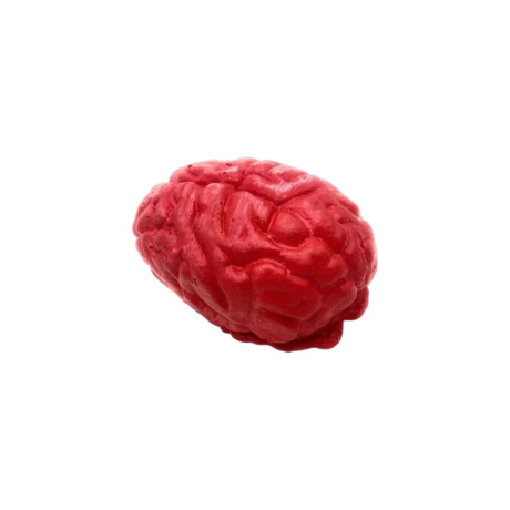 Cerebro decorativo Sc
