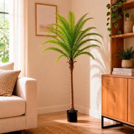 Palmera Alta 140 cm de Alto Palmera Alta 140 cm de Alto