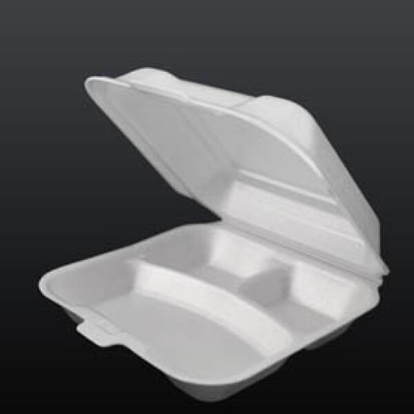 BANDEJA DE ESPUMA BLANCA CON TAPA BISAGRA Y 3 DIVISIONES 21X18X7 CM. BLANCO