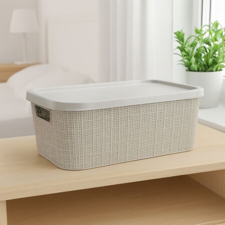 CESTO CANASTO ORGANIZADOR SIMIL RATTAN TREVI 7 LITROS BEIGE CESTO CANASTO ORGANIZADOR SIMIL RATTAN TREVI 7 LITROS BEIGE