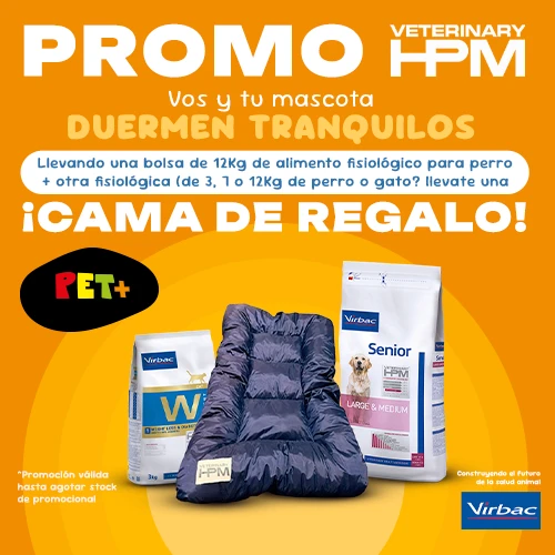 CAMA HPM