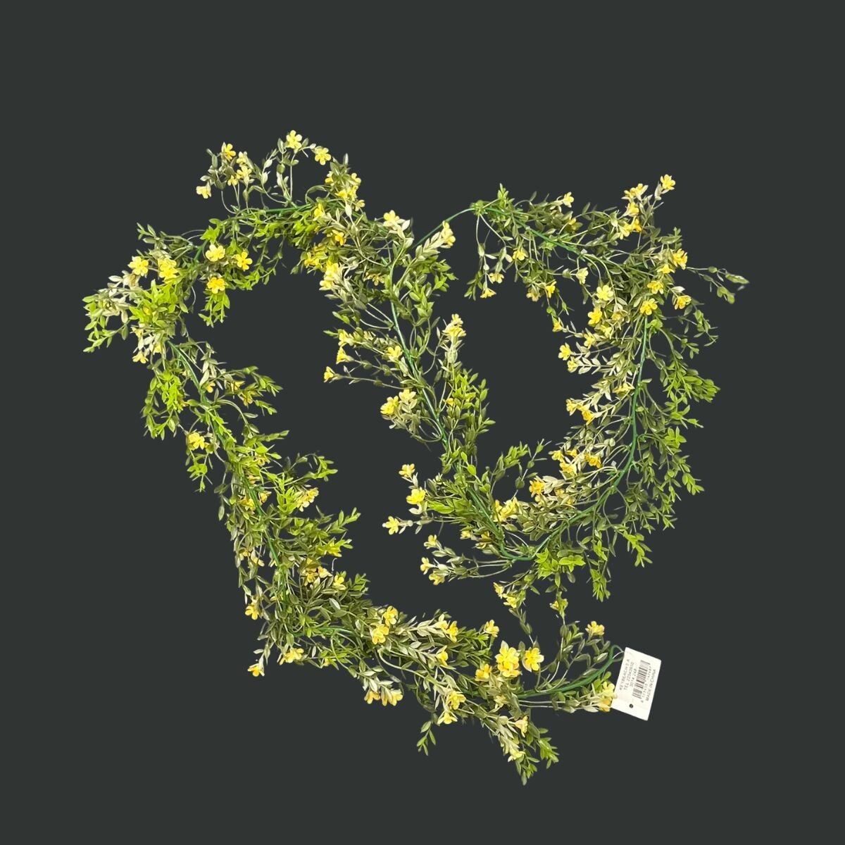 Guía de Hojas y Flores 