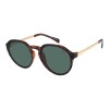 Lentes de Sol Chilli Beans Alejandria Animal Print - Verde