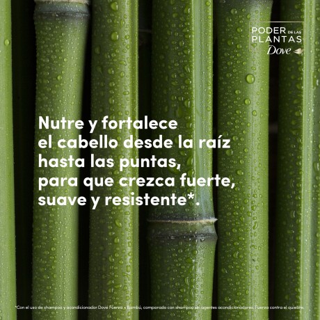 Dove Masc Fuerza+Bambu Dove Masc Fuerza+Bambu