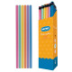 Pack x15 Flotador De 1,60 metros SURTIDO