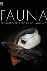 Fauna Fauna