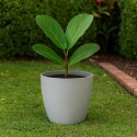 MACETA DE PLASTICO DECORATIVA UMBRA 27CM GRIS MACETA DE PLASTICO DECORATIVA UMBRA 27CM GRIS