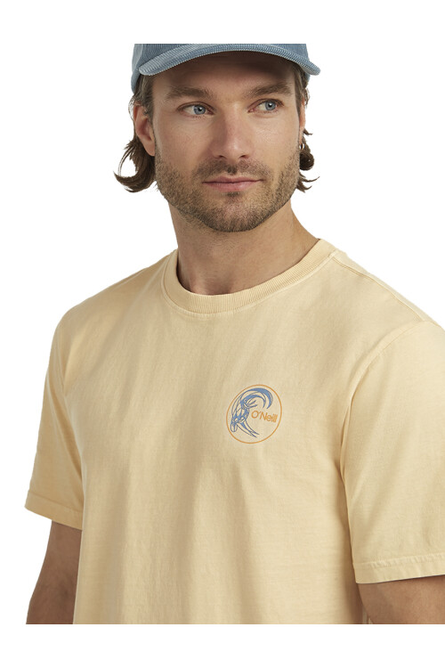 Remera O'Neill Retro 1952 Back Macaron