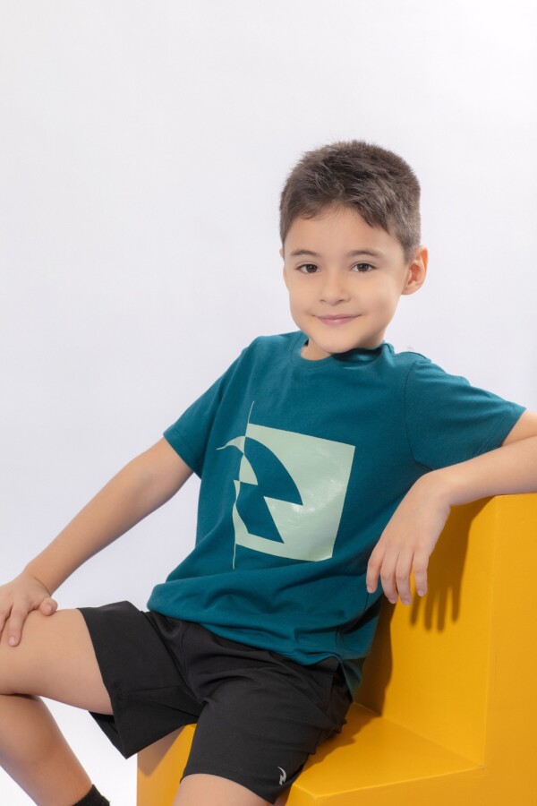 Remera con Serigrafía. Remera con Serigrafía.