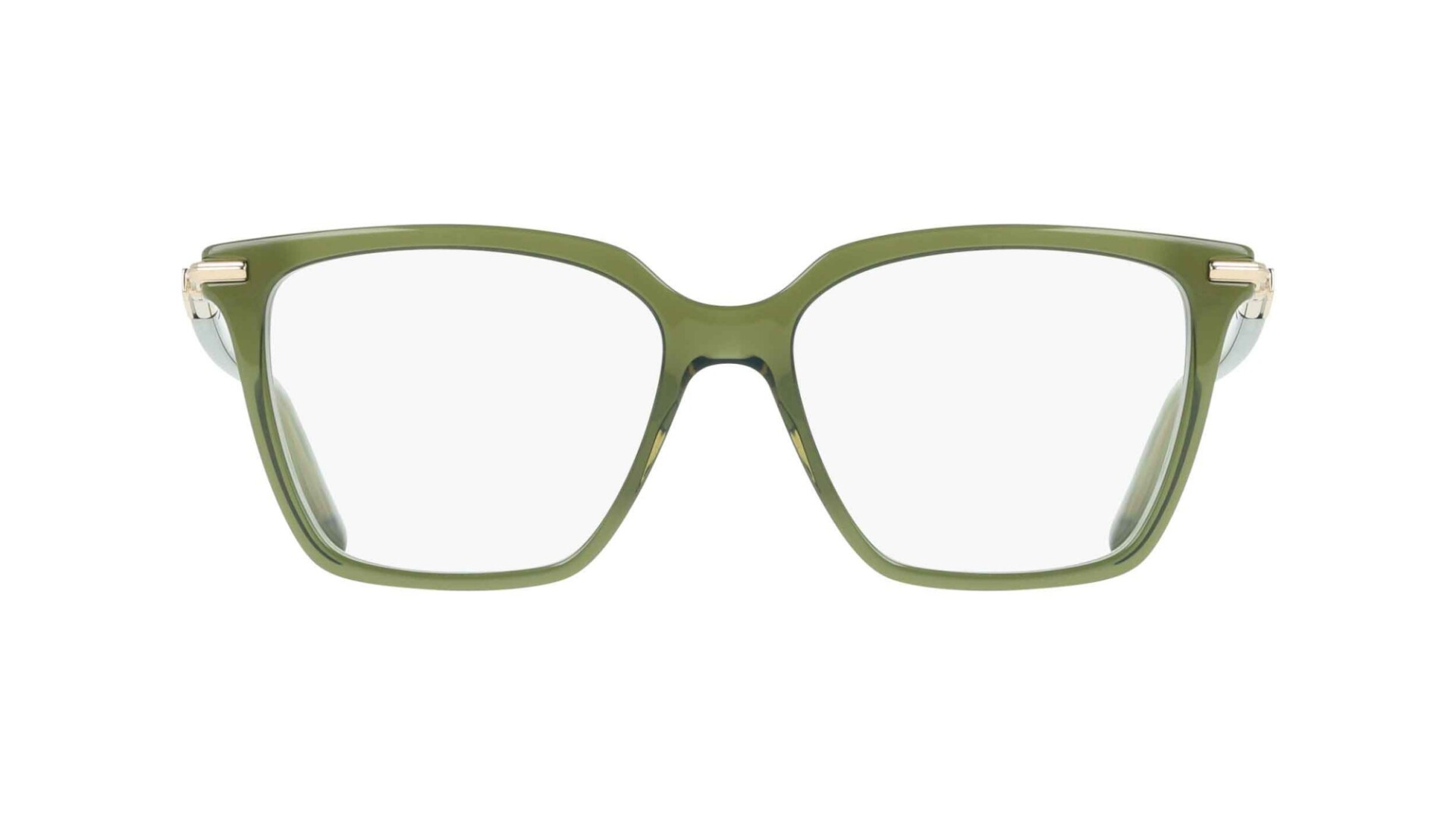 Ferragamo 3038/54 col 317 
