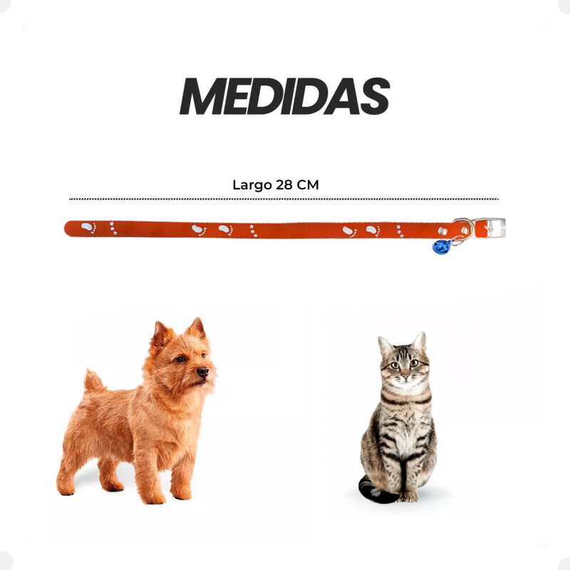 Collar De Silicona Individual para gatos Collar De Silicona Individual para gatos