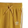 Conjunto Adidas de Niños - IY4025 Mostaza