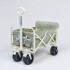 S61BC Carro De Playa Sunnylife - Seagrass Sage