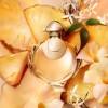 Perfume Rabanne Olympea Elixir Femme Edp 50ml Perfume Rabanne Olympea Elixir Femme Edp 50ml