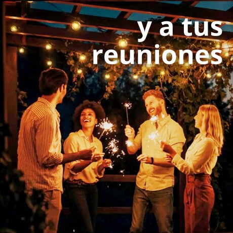 Guirnalda Guia De 25 Luces Interior o Exterior Jardin 7.6mts 001