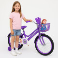 Bicicleta Butterfly rodado 20 Violeta