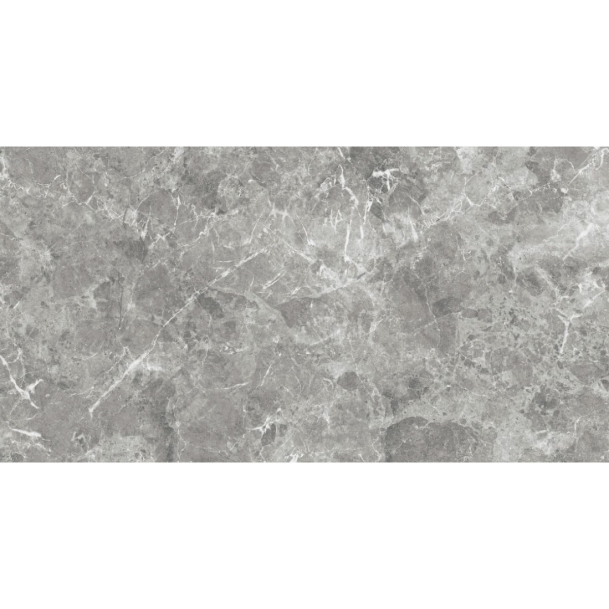 Cerámica Rectificada Grey Essence "a" 60x120 Cm 