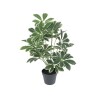 PLANTA ARTIF C/MACETERO PLAST 66CM Unica