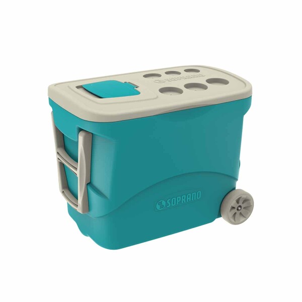 Conservadora 50 lt Azul con ruedas 0033.55 Conservadora 50 lt Azul con ruedas 0033.55