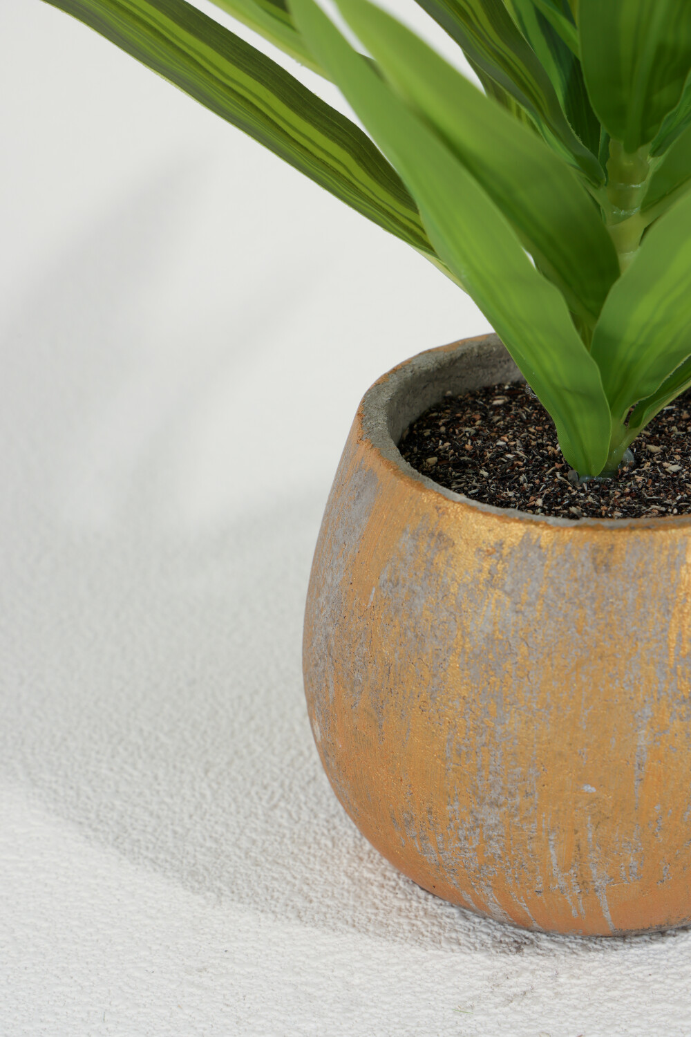 Planta Dracaena Fragrans 25cm Color Unico