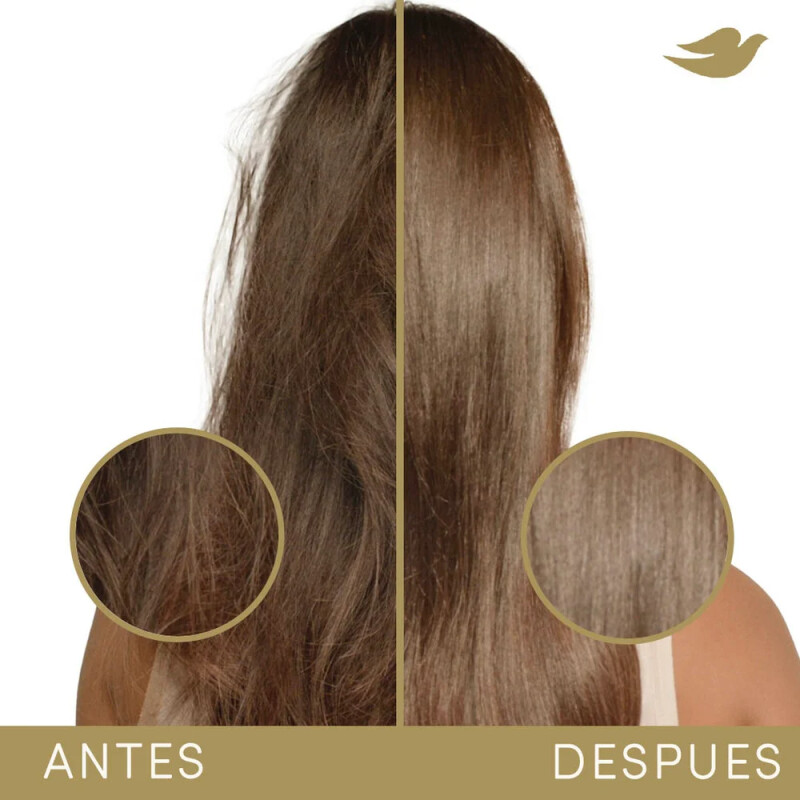 Acondicionador Bond Intense Repair Dove 250 Ml Acondicionador Bond Intense Repair Dove 250 Ml