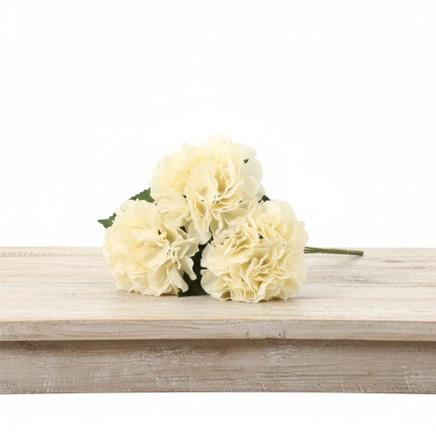 Ramo de 5 Hortensias Biege